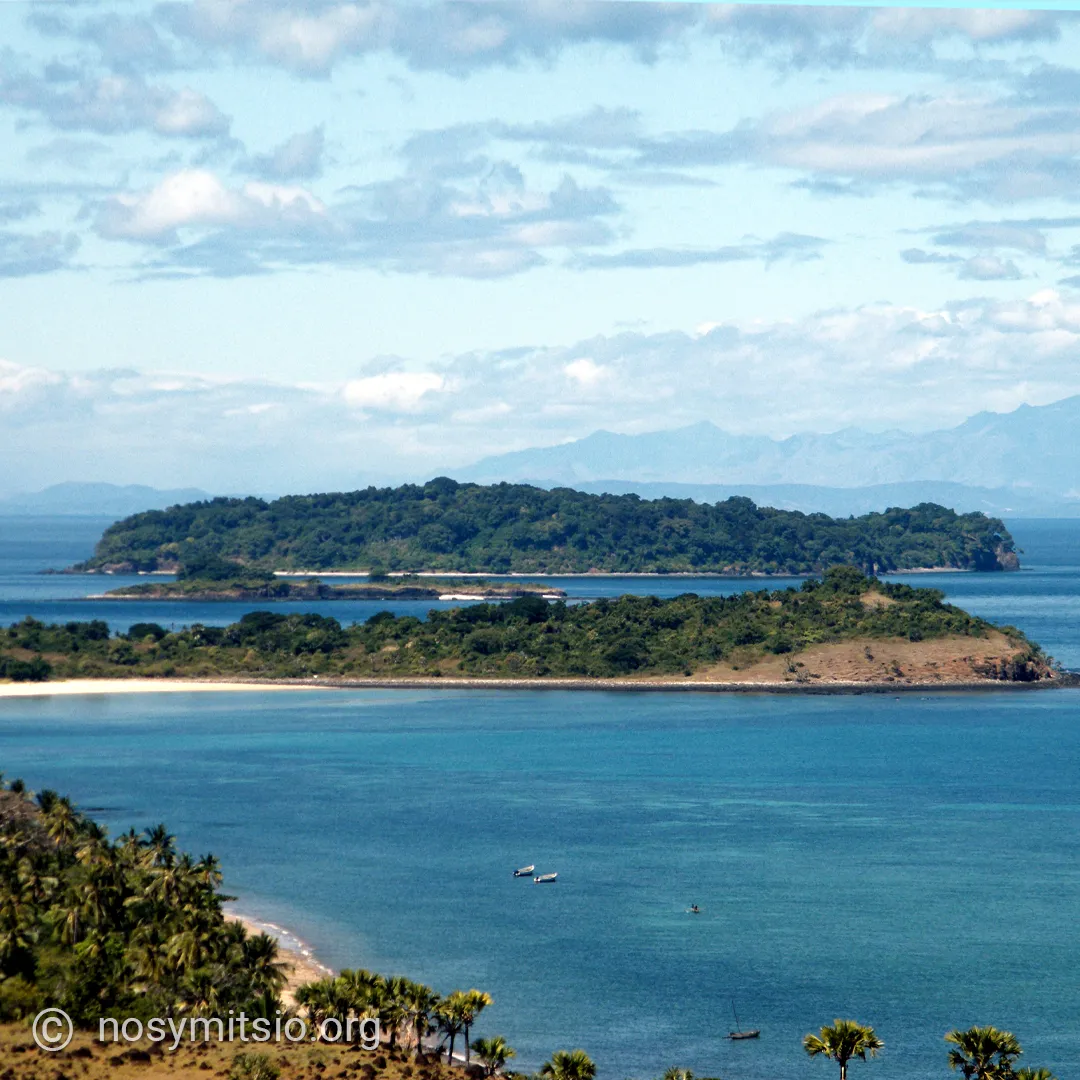 plage-cocotier-iranja