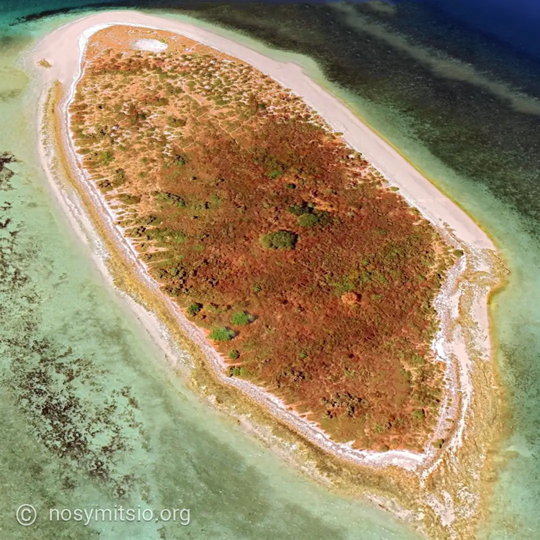 plage-cocotier-iranja